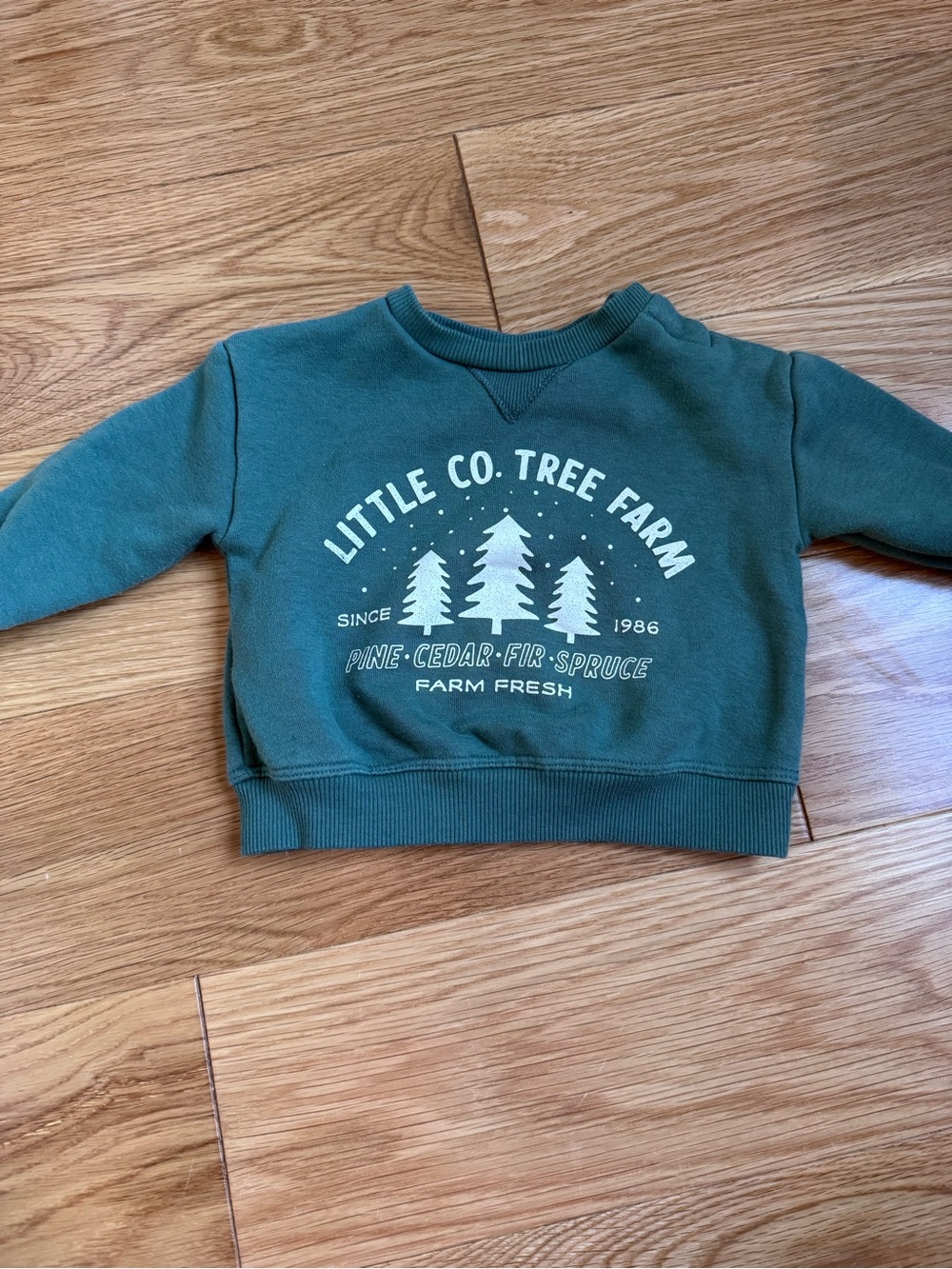 Little Co. Tree Farm Green Kids Sweatshirt - Cozy Crewneck